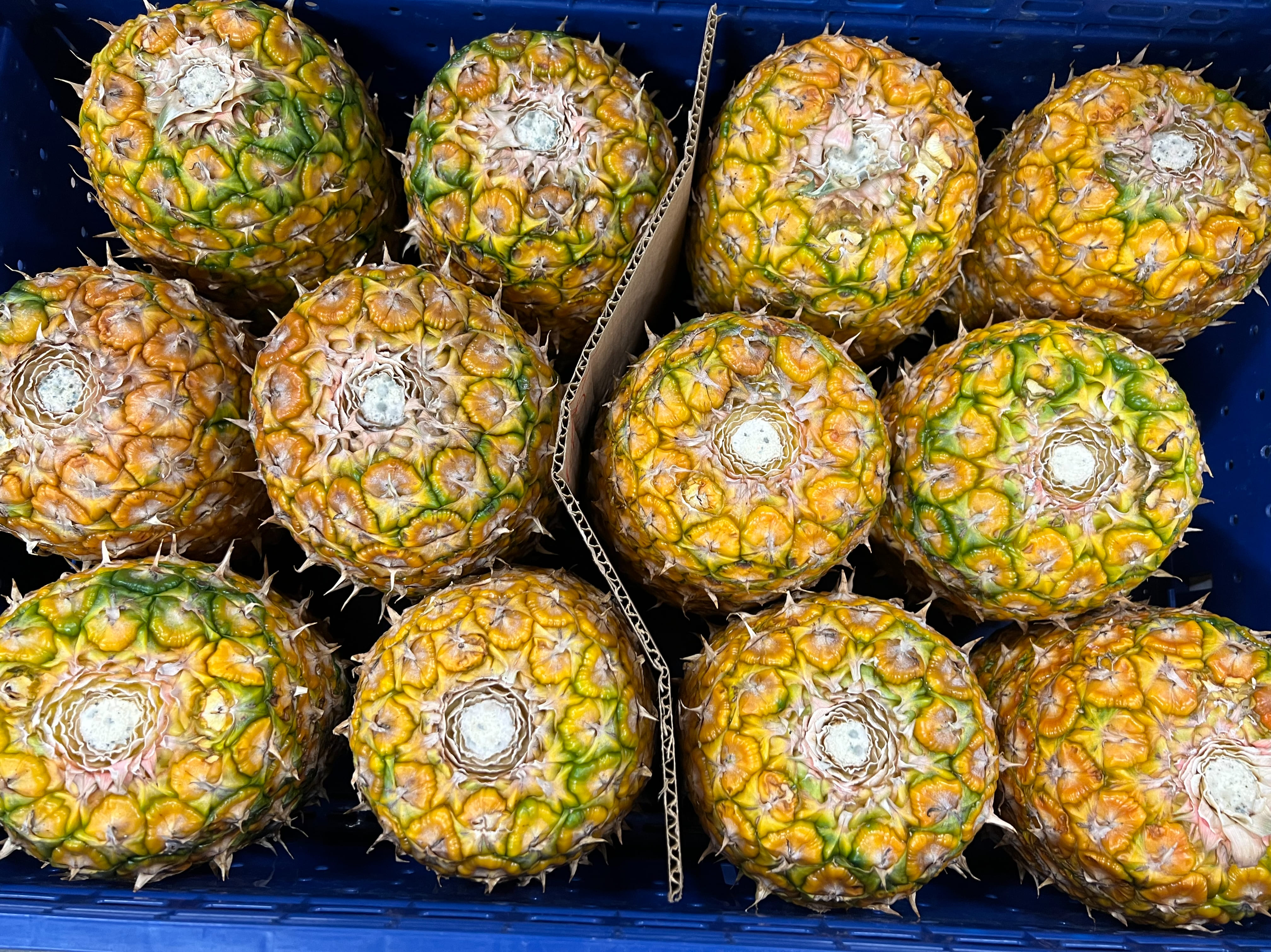 Pineapple